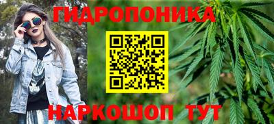 герыч Кингисепп