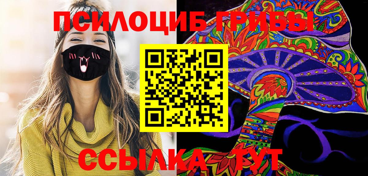 купить  цена  Вход с VPN  Кингисепп  Псилоцибиновые грибы Magic Shrooms  Галлюциногенные грибы Psilocybe 