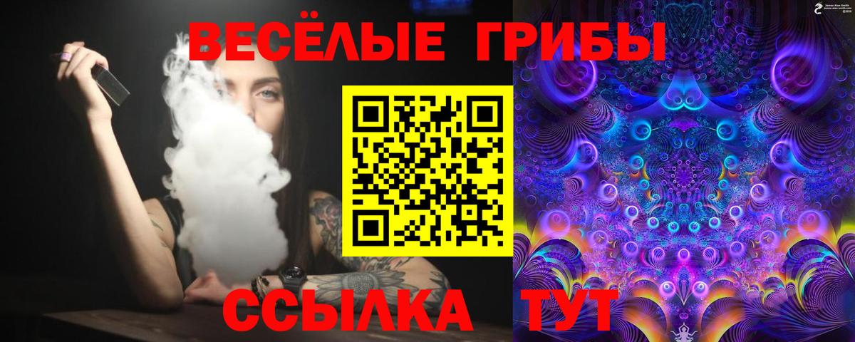 Псилоцибиновые грибы MAGIC MUSHROOMS Кингисепп